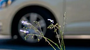 Летние шины: во что переобуться после самоизоляции